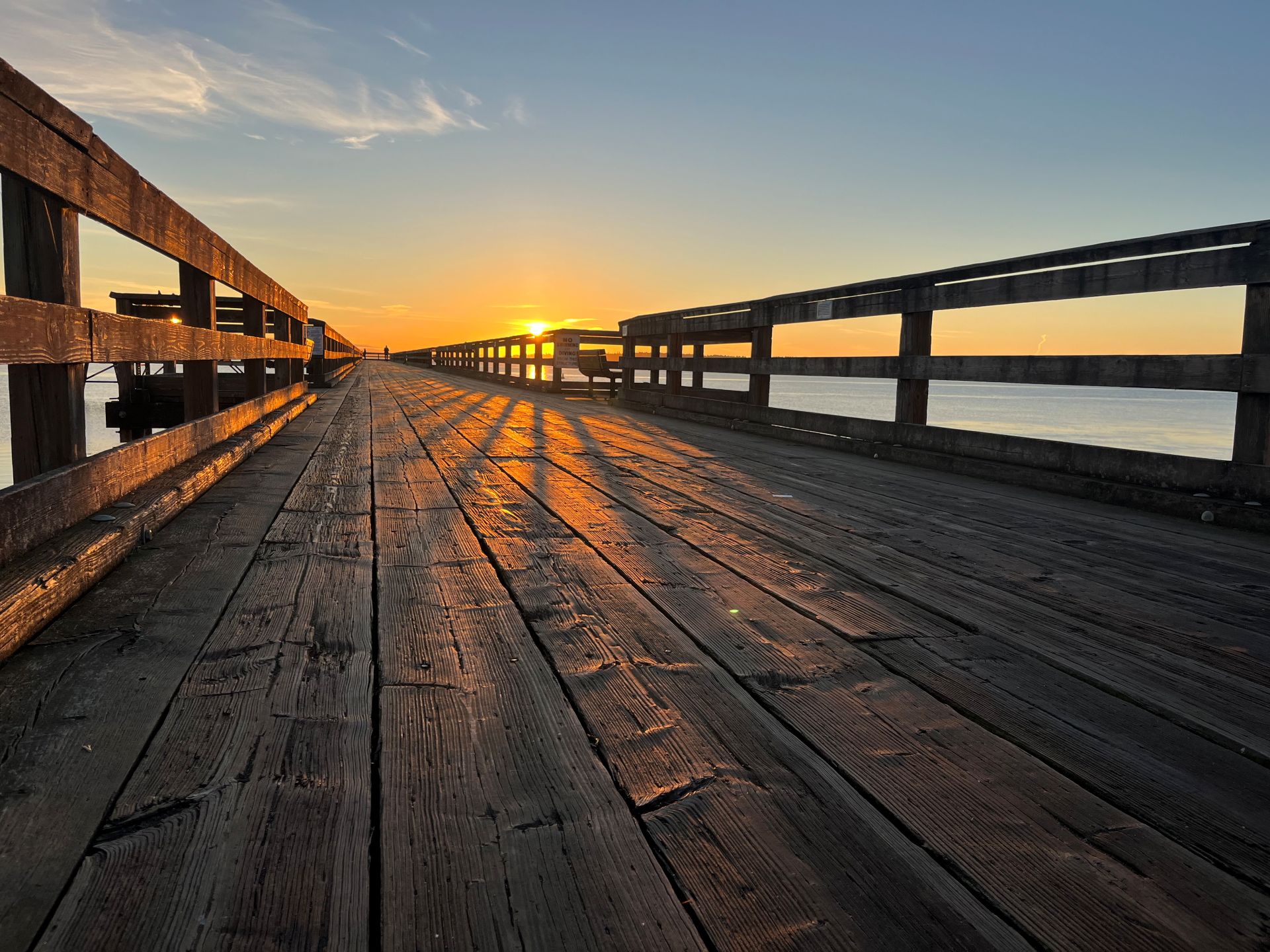 dentist near me sidney bc